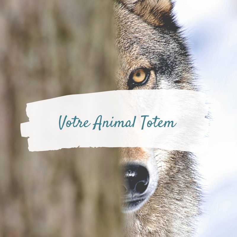 totem - shop