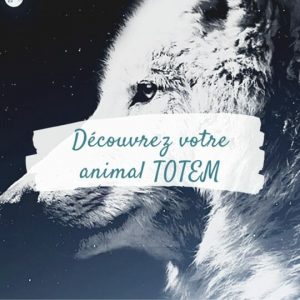 Quel est mon animal Totem | Voyage Chamanique | Chamane Urbaine