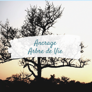 Ancrage arbre de vie
